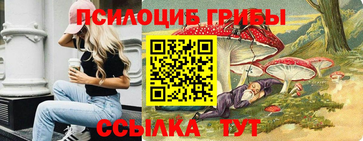 Биробиджан  Псилоцибиновые грибы мицелий  Галлюциногенные грибы GOLDEN TEACHER  Вход с VPN 